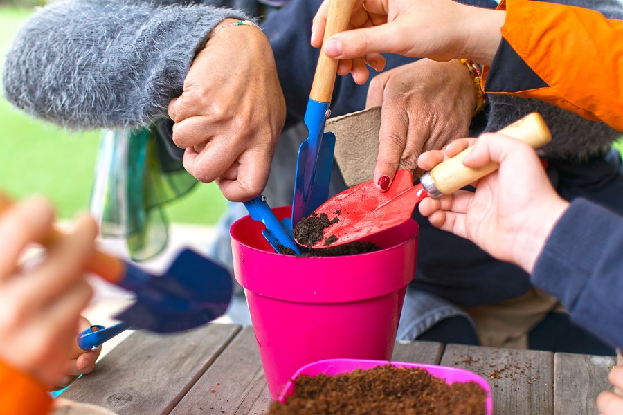 Young children learning how to plant seeds in garden. Narrow depth of field of hands holding seeds and black soil in pot. 